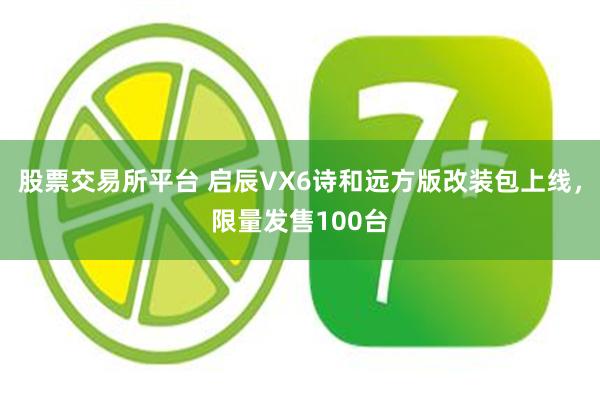 股票交易所平台 启辰VX6诗和远方版改装包上线，限量发售100台