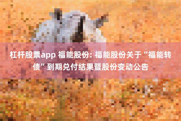 杠杆股票app 福能股份: 福能股份关于“福能转债”到期兑付结果暨股份变动公告