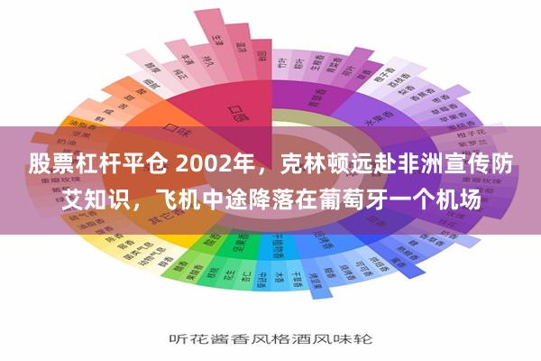 股票杠杆平仓 2002年，克林顿远赴非洲宣传防艾知识，飞机中途降落在葡萄牙一个机场