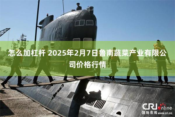 怎么加杠杆 2025年2月7日鲁南蔬菜产业有限公司价格行情