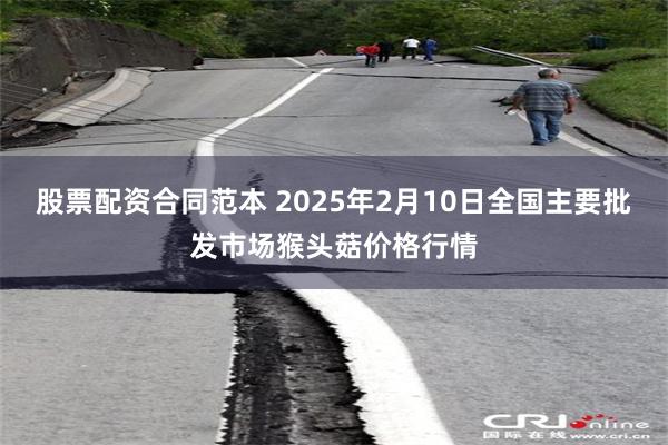 股票配资合同范本 2025年2月10日全国主要批发市场猴头菇价格行情