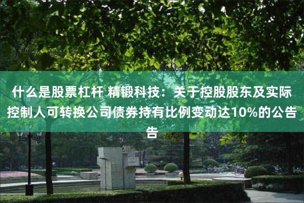 什么是股票杠杆 精锻科技：关于控股股东及实际控制人可转换公司债券持有比例变动达10%的公告