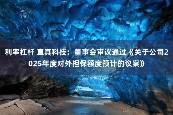 利率杠杆 直真科技：董事会审议通过《关于公司2025年度对外担保额度预计的议案》